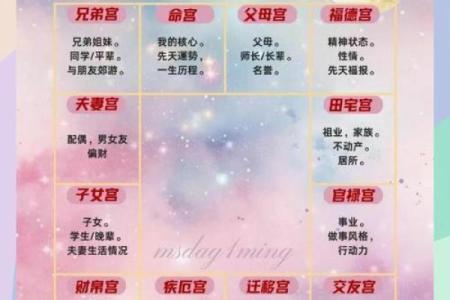 紫薇斗数宫位重叠