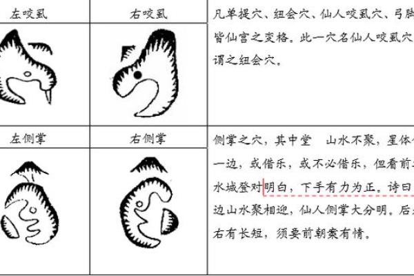 风水点穴_青蛙捕食穴应点在什么地方