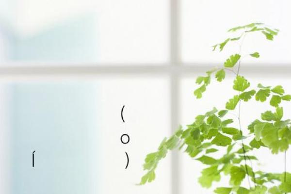 月老灵签第59签解签
