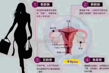 探索女性私密能量在风水中的重要性