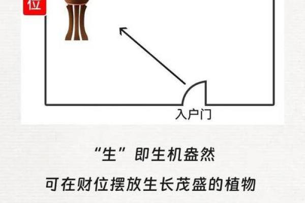 风水财位摆放有哪些事项需注意