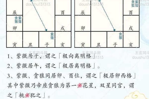 紫微斗数之贪狼星坐命宫 ，是什么意思？