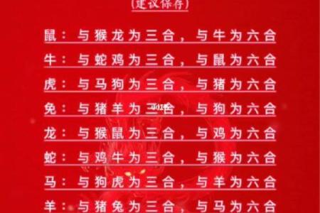 1979年属什么生肖 1979年属什么生肖配对最好