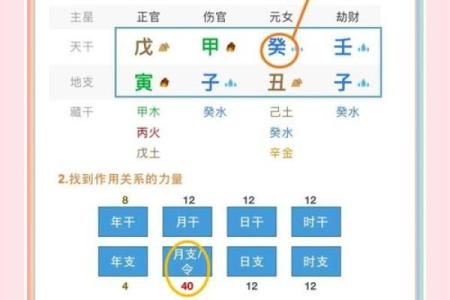 教你看八字 八字教学教程（四）
