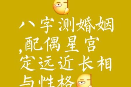 八字看配偶属相