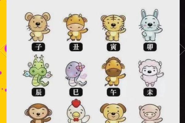 猪的生肖配对