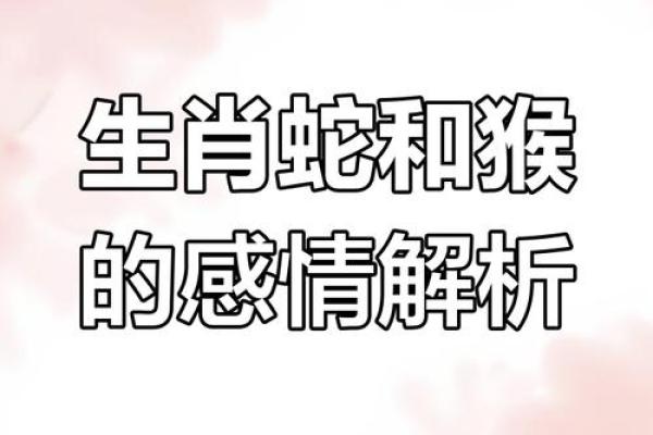 家破人亡的生肖配对在一起
