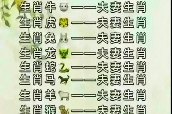 婚姻属相配对大全很准 婚姻属相配对大全很准十二生肖男女属相配对