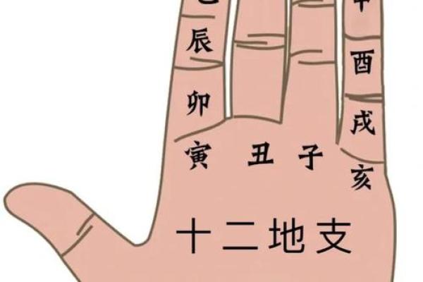 属鸡的人，生辰八字算命自检表，算命从此不求人！