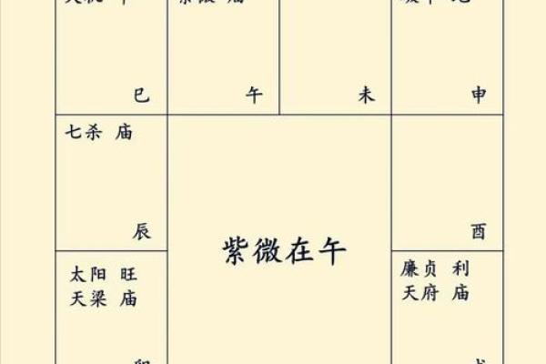 包含紫薇斗数菜鸟入门的词条