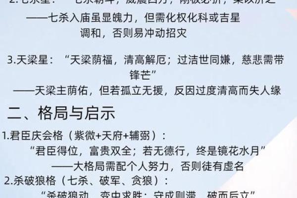 包含紫薇斗数菜鸟入门的词条