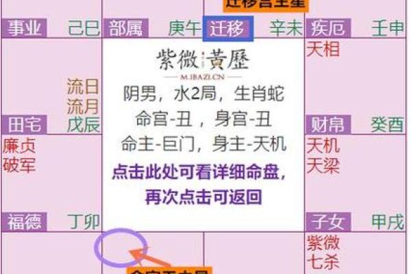 卦卜网紫薇斗数