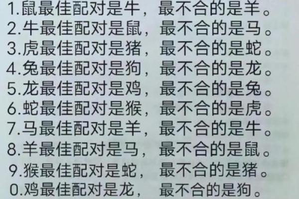 属相配对表