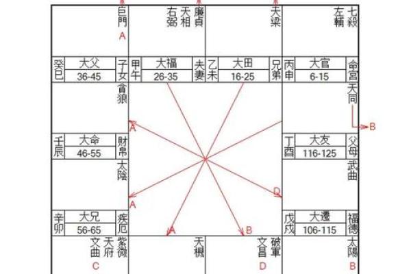 紫薇斗数排版