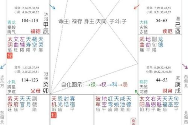 如何看紫薇星在什么宫