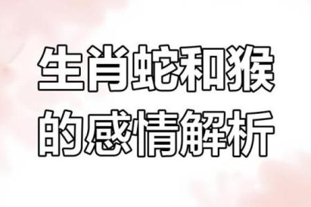 家破人亡的生肖配对在一起