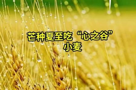 2024年芒种的财神方位在哪？芒种节气的三个物候现象