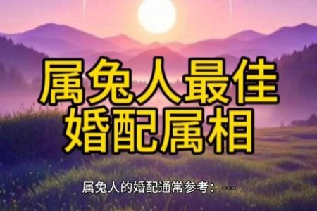 属兔的最佳生肖配对