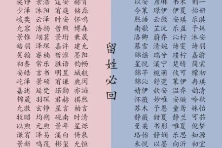 宝宝名字测试 宝宝名字选对了吗
