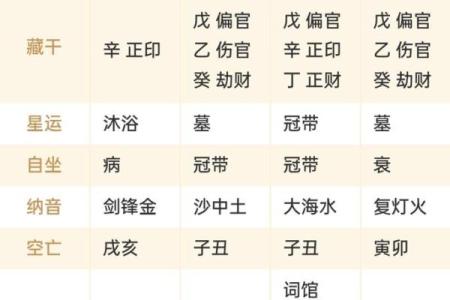 生辰八字推算软件