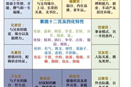 紫微斗数化忌在十二宫详解,十二宫中化忌的影响