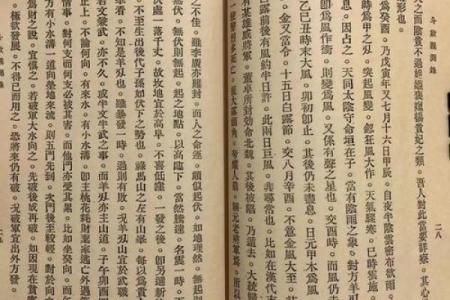 葵葵紫薇斗数