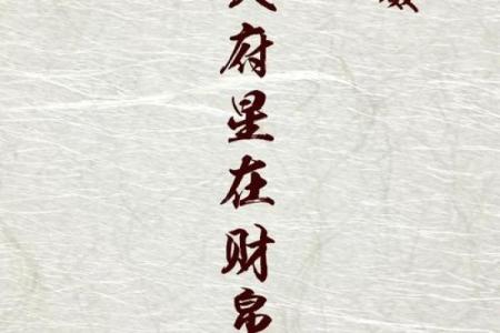 罗大佑紫微斗数 紫微斗数全书罗洪先？