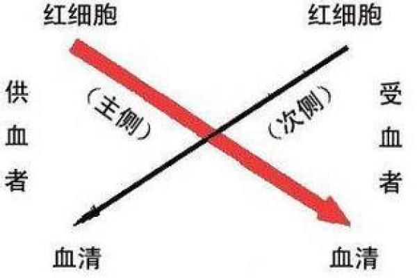 血型谁是蓝颜祸水