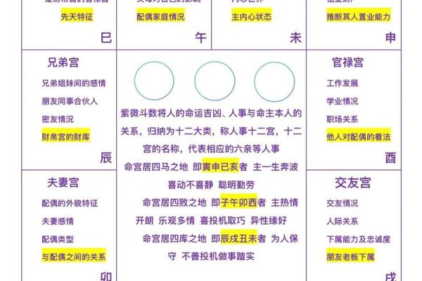 紫薇斗数的官禄宫