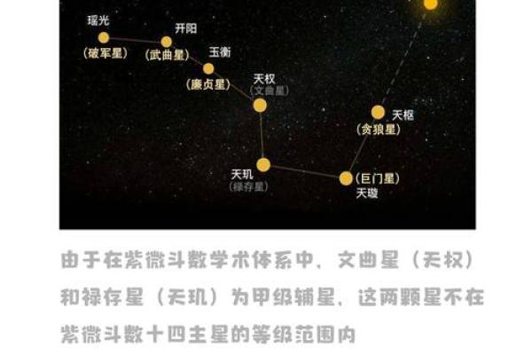 紫微斗数诸星落诸宫之，夫妻宫