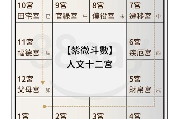 紫薇斗数命主什么意思 紫薇斗数命主什么意思