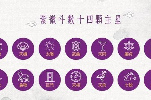 紫微斗数十四主星：廉贞星概论