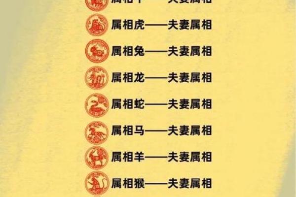 属鼠和属龙配对合适吗-