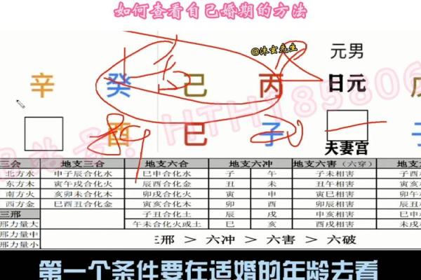 八字预测：如何从八字看出你的魅力？