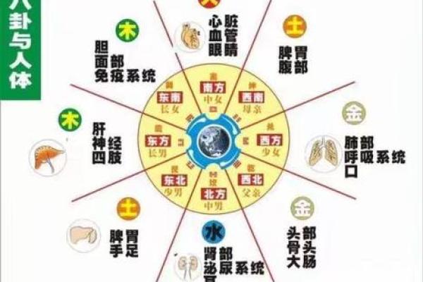 冰箱的门对房门风水对运势的不利观点解析
