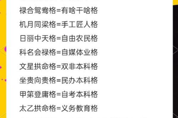 紫微斗数之基本术语