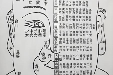 额头胎记算命有哪些影响-
