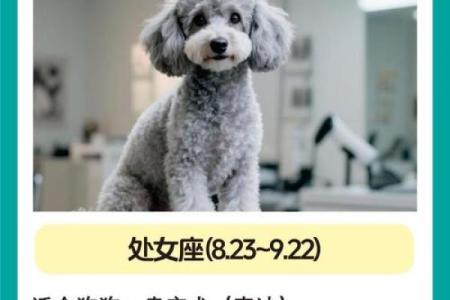12星座适合养的什么狗