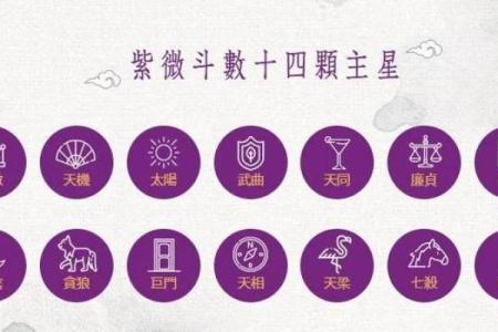 紫微斗数十四主星：廉贞星概论