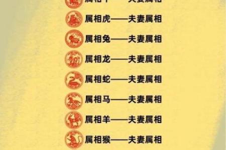 属鼠和属龙配对合适吗-