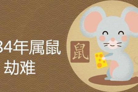 2024虎年属鼠开业什么日子好 最佳开业吉日精选