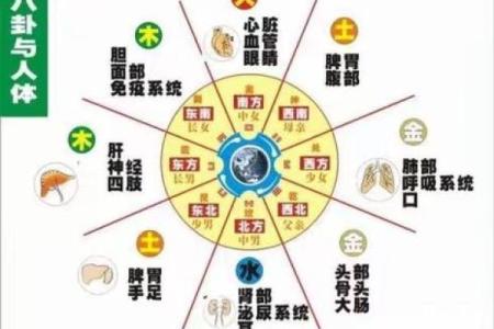 冰箱的门对房门风水对运势的不利观点解析