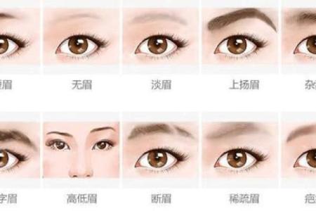 面相风水女人十大富贵眉毛你有吗