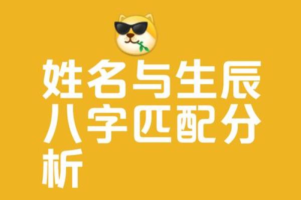 测名字八字免费