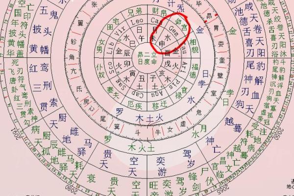 紫薇斗数几号盘