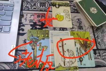 塔罗测试我应该辞职吗