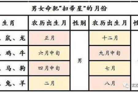 八字带铁扫