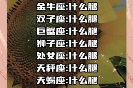 十二星座穿什么裤子最合适