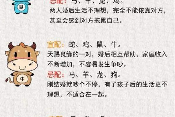 七九年属什么生肖配对