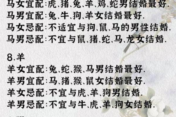 十二生肖配对歌看看你和TA的缘分有多好